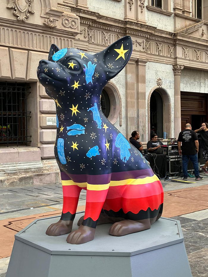 chihuahuadeja2